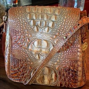 Brahmin should bag